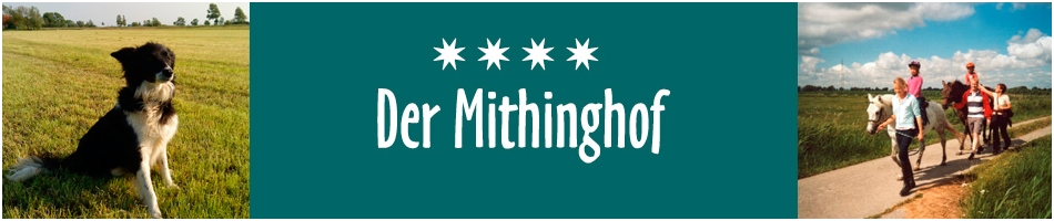 Banner.jpg