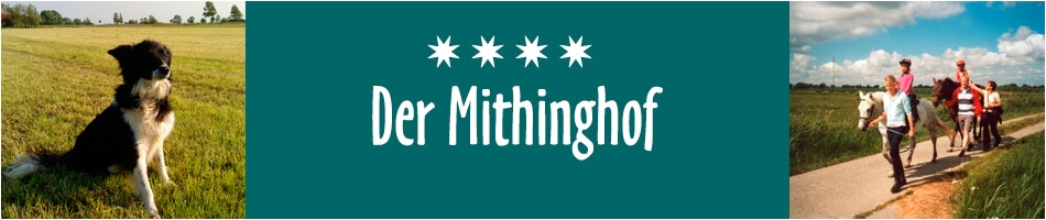 Banner.jpg