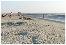 STRAND.JPG
