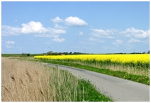 WEG.JPG